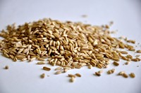 Oats, Malted Naked (British)